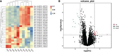 Identification of hsa_circRNA_100632 as a novel molecular biomarker for fulminant type 1 diabetes